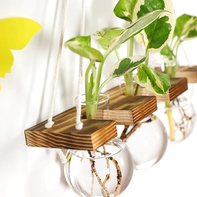 Plant Propagation Station Wall Hanging, Planter Terrariums with Wooden Stand for Hydroponics Plants and Cuttings, 3 Bulb Propagation Vases, Home Office Wall Decor, Gift for Plant Lovers