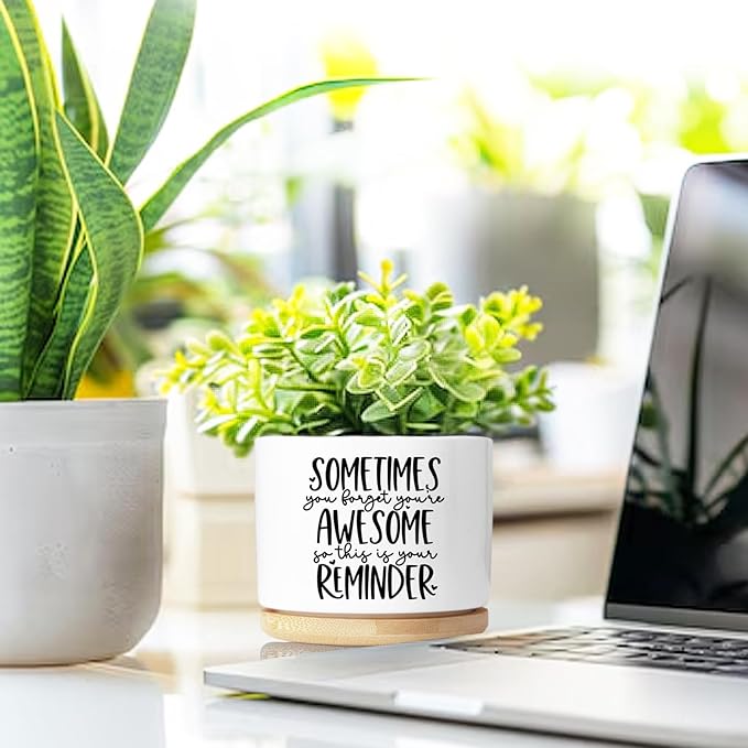 Cute Succulent Planter, Flower Cactus Plant Pot Gifts, Thank You Inspirational Gifts for Women Men Coworkers Teachers Plant Lovers, Office Home Windowsill Indoor Decor (No Plants)