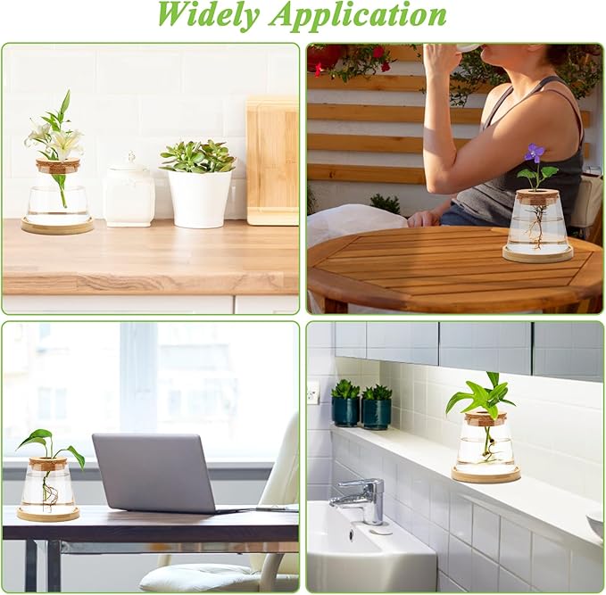 2 Pcs Plants Propagation Station, Separated Desktop Glass Planter Station Hydroponics Plant Terrarium with Wooden Tray & Lid Glass Vase Propagating Jars Gifts for Women Mom Plant Lovers
