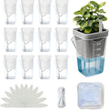 12 Pack 2.5 Inch Self Watering Pots for Indoor Plants, Clear Plastic Planters with Water Level Indicator, Semi Hydroponic Propagation Station for Succulents, African Violet and LECA