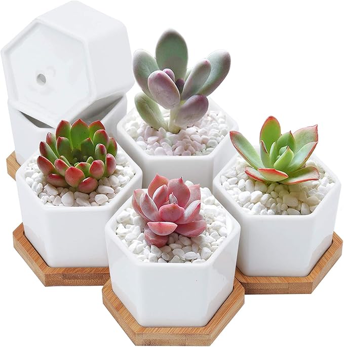 Foraineam 10 Pack Mini Succulent Plant Pots, 2.76 inch Hexagonal White Ceramic Succulent Cactus Planters with Bamboo Tray