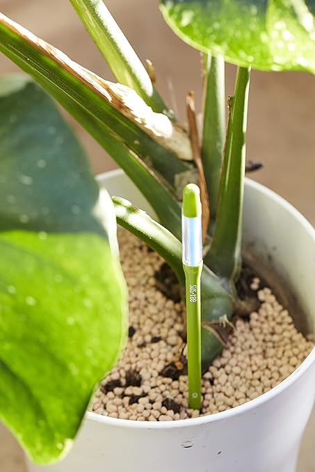 Sustee Aquameter (Medium Green Refillable - Bundle of 2) - House Plant Soil Moisture Meter, Humidity Sensor Probe, Water Level Indicator - Best for Indoor Potted Plants
