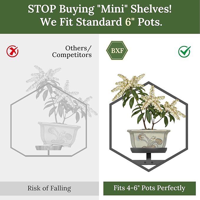 BXF Hexagon Floating Frame Plant Stand - 2 Pack Metal Wall Mounted Planters - Minimalist Geometric Hanging Decor for Indoor Succulents & Air Plants, Black