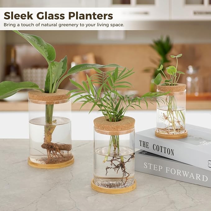 5-7 Inch Small Medium Large Plants Propagation Station - Set of 3 Propagation Vases for Indoor, Glass Plant Containers with Cork and Wooden Tray