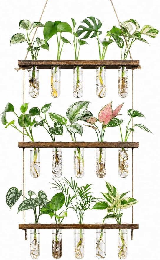 Monsiter QE 3 Tier Wall Hanging Propagation Stations with 15 Glass Test Tubes, Plant Terrarium Propagation Tubes Planter for Hydroponic Cuttings, Window Decor Gift for Plant Lovers