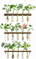 Monsiter QE 3 Tier Wall Hanging Propagation Stations with 15 Glass Test Tubes, Plant Terrarium Propagation Tubes Planter for Hydroponic Cuttings, Window Decor Gift for Plant Lovers