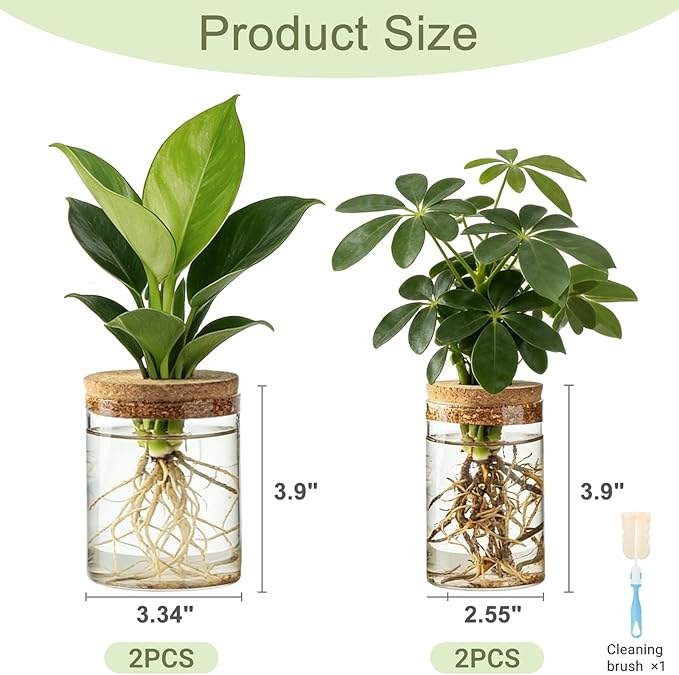 Dahey 4Pcs Glass Plant Propagation Stations Desktop Propagation Vases for Plants, 2 Large Planters Jars & 2 Small Pots Vases for Indoor Hydroponic Plant Cuttings, Living Room Home Office Bedroom Decor