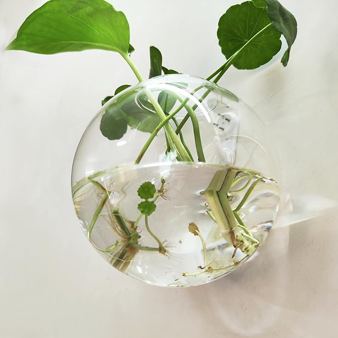 6 Pack Hanging Wall Vases, Glass Hainging Planter Propagation Station Terrarium, 4.7" Globe Wall Planters for Indoor Plants,Home Decor