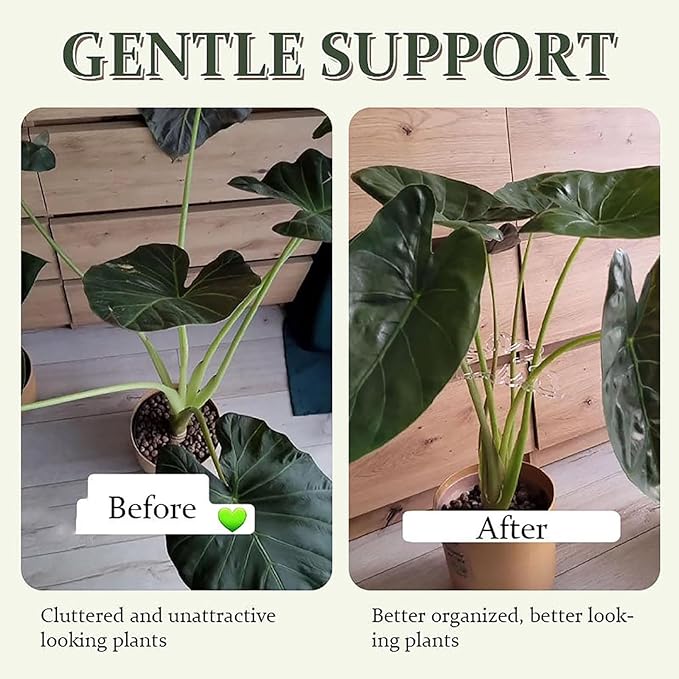 2 Pack Moss Pole Monstera Plant Support Stakes–Tall Indoor Plant Stakes for Climbing Vines, Sturdy Stem Holder for Monstera/Pothos