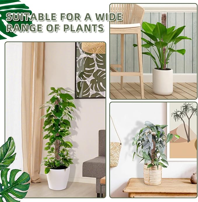 Small Moss Pole for Monstera - Stackable & Refillable Plastic Moss Poles for Climbing Plants with Large Mesh Design (12Pack-White-Small)