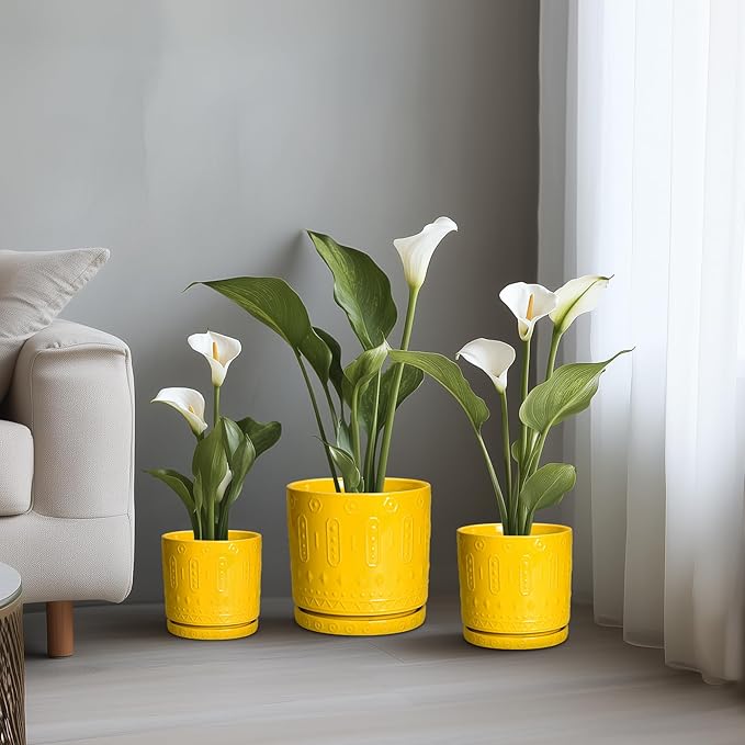 Eightpot 8 Inch Plant Pot, Ceramic Pots for Plants with Drainage Hole and Sacuer, Round Flower Pots for Indoor Outdoor Plants, Modern Decorative Planter, Table Decor, Plant Gifts for Women, Yellow