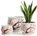 STHIE Ceramic Plant Pots with Drainage Holes and Saucers, Round Flower Pots for Indoor Plant, 4/5.2/6.6 Inches Small Flower Planters Set of 3