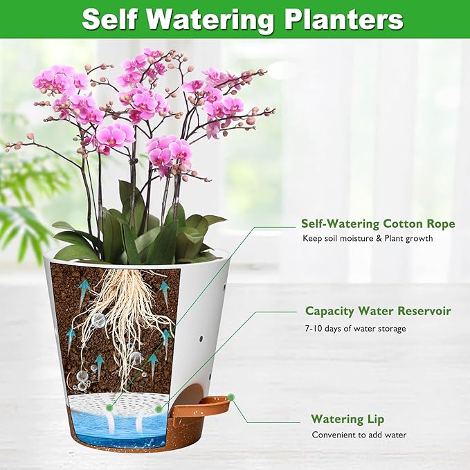 Vanslogreen Orchid Pots with Holes, 6 Inch Self Watering Orchid Pot 3 Pack Plastic Plant Pots for Orchid, Flower (Multicolor)