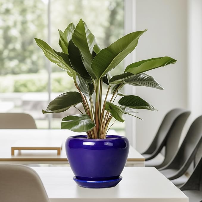 Ceramicfor 6 Inch Plant Pot - Ceramic Pots for Plants Succulent Pot with Drainage Hole and Saucer Round Planter Outdoor Flower Pot for Herb Snake Plants Blue