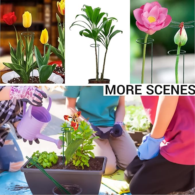 10PCS Plant Support Stakes for Flowers, Garden Metal Single Stem Plant Support, Garden Flower Support for Indoor Plants Tomatoes, Amaryllis, Orchid, Peony, Lily, Rose -15.9Inch