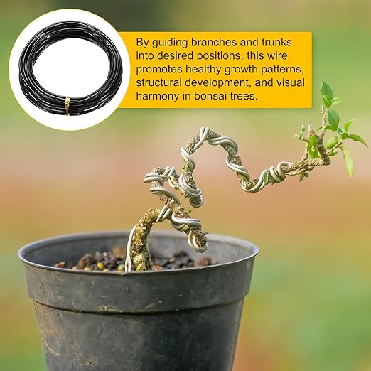 M METERXITY 2.5mm Bonsai Training Wire, 16.4 Feet Total Anodized Aluminum Bonsai Wires for Bonsai Tree Shaping/Branches Fixing/Trunk Holding/DIY Crafting [Black]