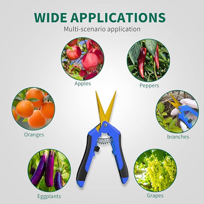 SZHLUX 6.5 Inch Gardening Scissors Hand Pruner Pruning Shears (1, Blue)