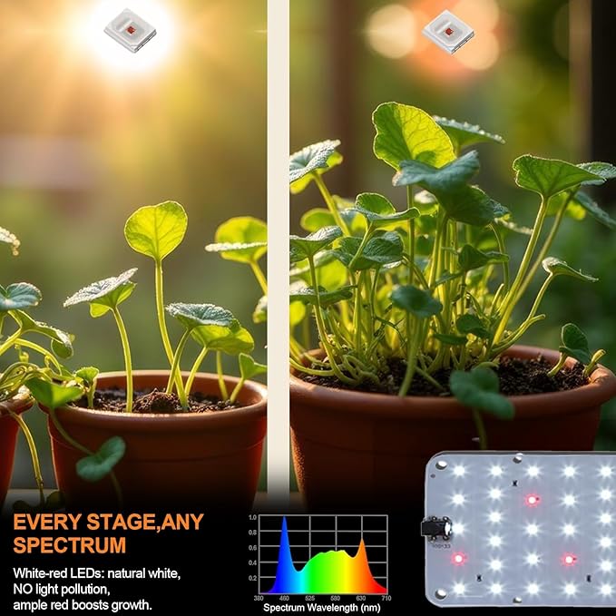 DOMMIA Panel Grow Light for Indoor Plants, 20W Ultra-Thin Full Spectrum LED Grow Light for Shelf & Cabinet, Dimmable with 6/12/16H Timer, Daylight White, 1-Pack