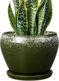 Ceramicfor 8 Inch Plant Pot - Ceramic Planter with Drainage Hole and Saucer, Modern Flower Pot for Glazed Indoor Plants Outdoor, Dark Green