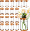 18 Packs Plant Propagation Station, Clear Plastic Test Tube Vases with Hole Lids for Water Propagation, Hydroponic Growing for Home Office Desktop Decoration