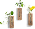 Wall Hanging Plant Propagation Station: Wood Farmhouse Wall Decor for Livingroom Kitchen - Hanging Glass Planter Tubes for Indoor Dried Flowers Eucalyptus Gifts for Women Plants Lovers
