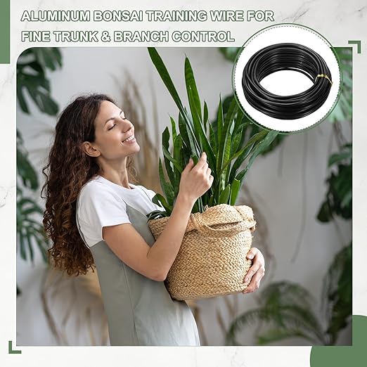 Bonsai Training Wire, 4mm x 32.8 ft Anodized Aluminum Floral Plant Training Wire Bendable Metal Stems Accessories for Gardening Branch Fixing Crafts (Black)