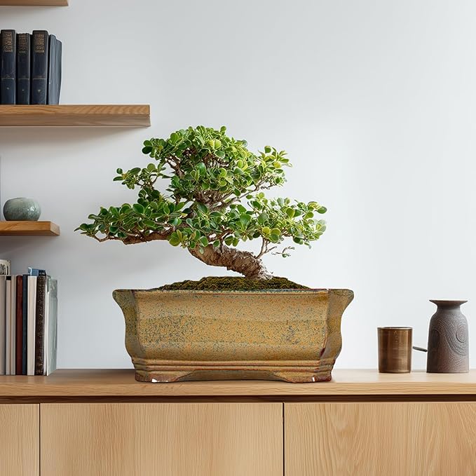 Bonsai Pots 13.7 Inch - Ceramic Bonsai Tree Pots with Drainage Hole, Succulent Planters for Indoor Outdoor Plants, Decorative Planter, House Decor, Gardening Gifts, Rectangular Yellowish Brown