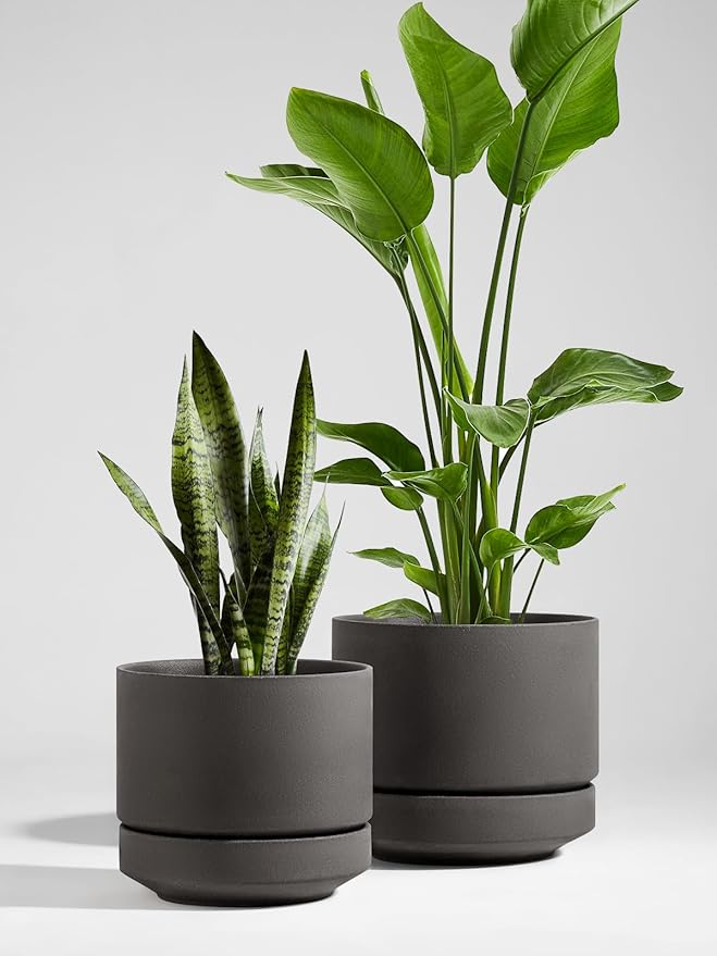 LE TAUCI 12 Inch Pot for Plants with Saucer, Ceramic Indoor Planter Pot with Drainage Hole, Mesh Pad Included, Unglazed Porous Ceramic, Modern for Home and Office, Charcoal Gray