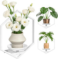 BXF Hexagon Floating Frame Plant Stand - 3 Pack Metal Wall Mounted Planters - Minimalist Geometric Hanging Decor for Indoor Succulents & Air Plants,White