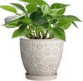 MPotTo 6.9 Inch Plant Pot with Drainage Hole and Saucer Ceramic Planter for Indoor Plant Flower Pot for Orchid Succulents Plants White