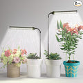 LED Grow Light 2 Pack, 6000K White Full Spectrum 144 LED Gooseneck Growing Lamp for Indoor Plants Growth,4 8 12 18Hrs Timer & Brightness Changeable,Insert Pole Extendable 4-10''