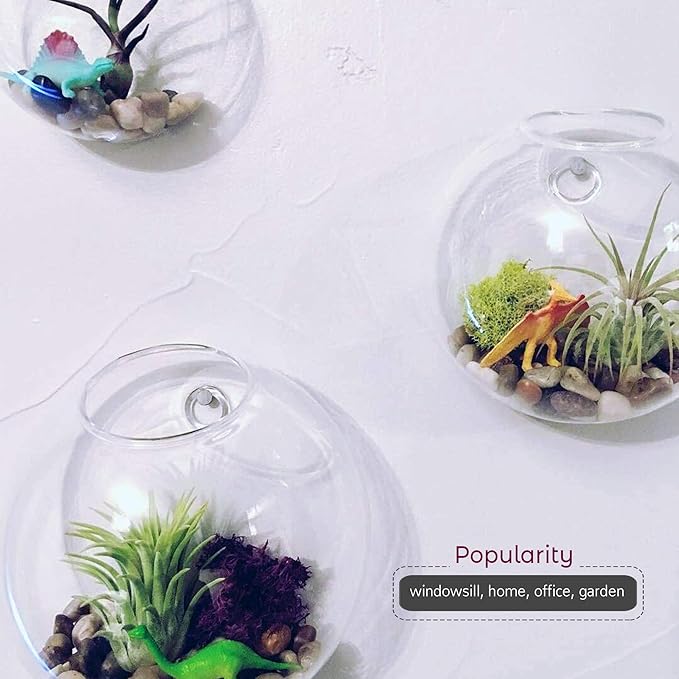 WGV Wall Hanging Planter Terrarium Bulk, Diameter 7", Clear Mounted DIY Succulents Air Glass Floral Container Vase, Tea Light Votive Candle Holder for Decoration 6 Pieces