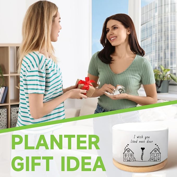 Friend Gifts for Women, I Wish You Lived Next Door, Cute Succulent Plant Pot, Flower Planter, Friendship Long Distance Relationship Gifts for Women Best Friend (Plants Not Included)