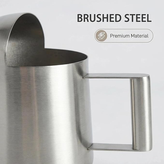 IMEEA Tiny Watering Can for Indoor Plants Bonsai Tree Stainless Steel Small Watering Can Succulents, 11oz/300ml