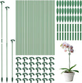 Pack of 30 Small Plant Stakes for Indoor Plants 10.7 Inches Single Stem Plant Support Stakes for Phalaenopsis/Orchid Flower/Succulent