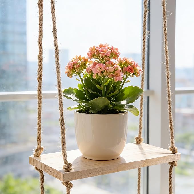 3 Tier Window Plant Shelves, Hanging Wood Floating Shelves for Living Room Bedroom Small Windows, Space-Saving Window Sill Shelf Indoor for Succulents, Herbs