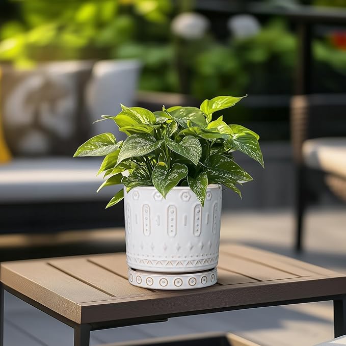 Eightpot Pot for Plants 6 Inch - Ceramic Planter for Indoor Plants Decorative Plant Pot with Drainage Holes and Saucer Outdoor Flower Pot Modern Succulent Pots for Office Desk Decor White