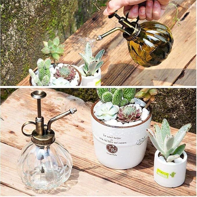Mr. Glass Water Plant Spray Bottle 6.3 Inch Tall Round Retro Style Pumpkin Shape Moisturizing Atomizer for Plant Fine Mist Cleaning Solution Hairdressing Sprayer Houseplant Red (Red)