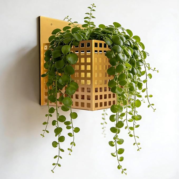 Wall Planters for Indoor Plants, Wall Plant Holder Self-Watering Wall Vase for Live or Faux Plants,Indoor/Outdoor Modern Gold Plant Hangers Indoor, Spirit Level Included