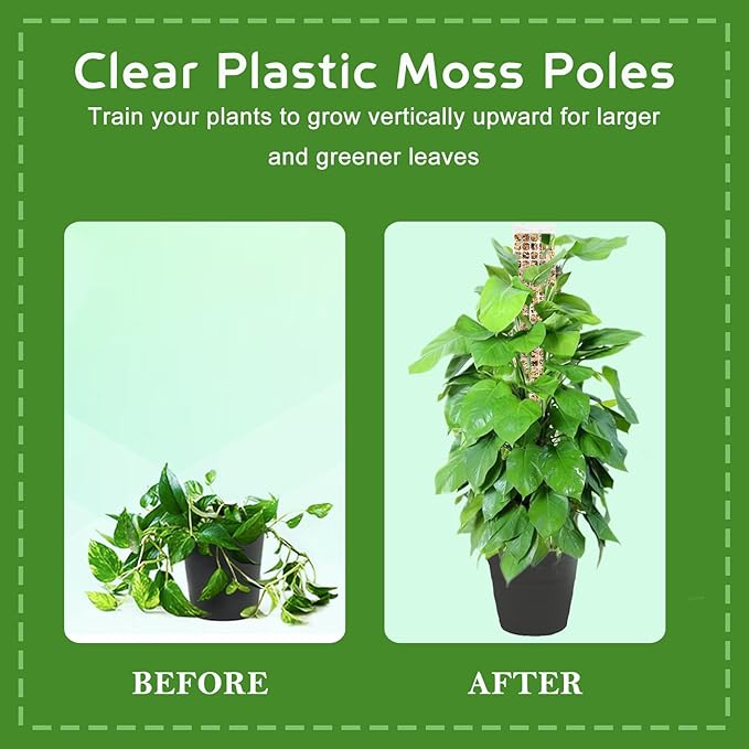 4 Pack 24 Inch D-Shaped Clear Plastic Moss Pole for Plants Monstera, Stackable Climbing Plant Support for Monstera, Pothos, Philodendron, Open Design for Sphagnum Moss