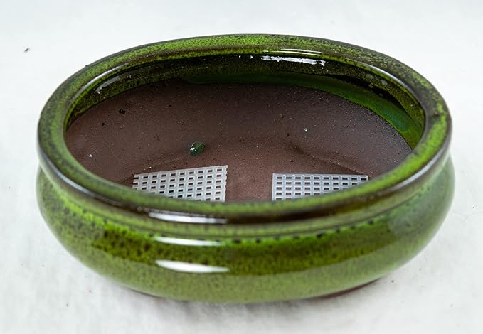 6 inch Oval Moss Green Glazed Bonsai / Succulent Pot + Soil + Tray + Rock + Mesh Kit