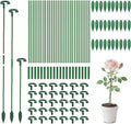 Pack of 30 Small Plant Stakes for Indoor Plants 6.7 Inches Single Stem Plant Support Stakes for Phalaenopsis/Orchid Flower/Succulent
