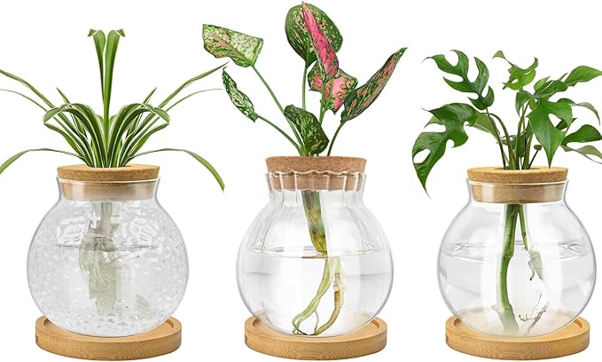 Plant Propagation Station, Water Planting for Plants with Tray & Wooden Saucer, Hydroponics Plants Jars Home Office Desktop Decor, Glass Planters for Indoor Hydroponic Decor