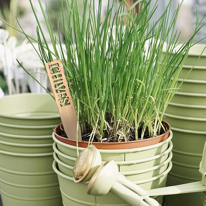 Bamboo Herb Markers - Set of 12 Beautiful Garden Labels - Sturdy Outdoor Garden or Potted Herb Markers