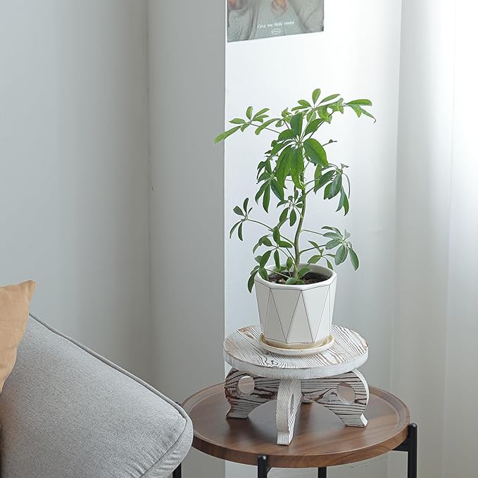 White Wooden Plant Stands Indoor Riser Round Display Stands Farmhouse Display Stool Flower Holder Pedestal Board Pine