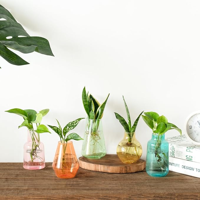 Mkono Propagation Vases for Plants, Set of 5 Small Glass Jar Planters for Hydroponic Cutting Flowers, Plant Station Bud Vases for Centerpieces Home Office Decor Gift, Colorful (Plants not Included)