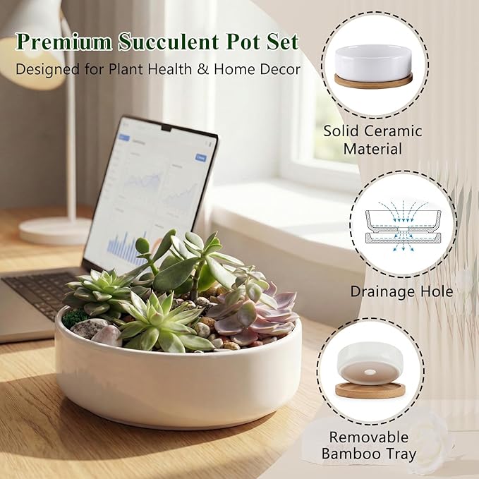 ZOUTOG Succulent Pots,6 Inch Succulent Planters with Drainage and Tray,White Ceramic Planters for Indoor Plants,Round Flower Plant Pots,Pack of 4