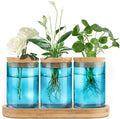 Dahey Blue Plant Propagation Terrarium Desktop Glass Planter Station Water Planting Glass Vase with Lid and Wooden Stand for Propagating Hydroponic Plants Centerpiece Office Home Garden Decor, 3 Pcs