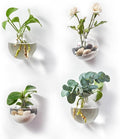 Wall Hanging Planters Terrarium Glass Air Plant Holder Pots for Plants