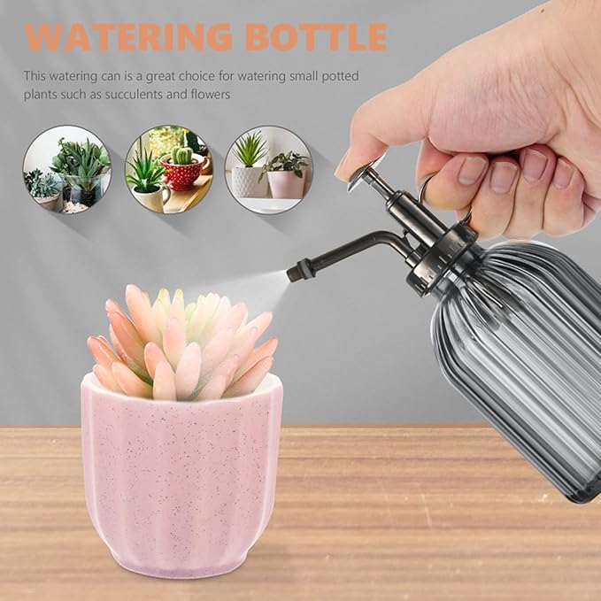 Plant Mister Water Spray Bottle for Plants Creative Hand Pressure Water Bottle Glass Flower Sprayer (Grey+Bronze Sprinkler) Home Accessories